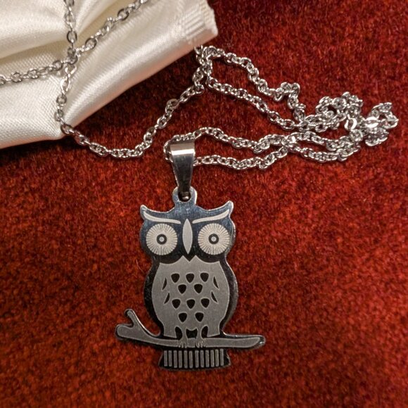 Stainless 'Cedar Paddle' Owl necklace - Picture 2 of 4